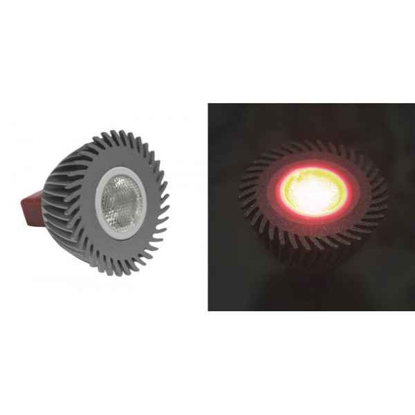 Power led MR16 3W-12V AC/DC 30° red