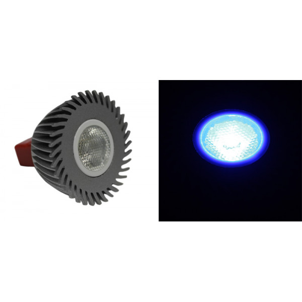 Power led MR16 3W-12V AC/DC 30° blue