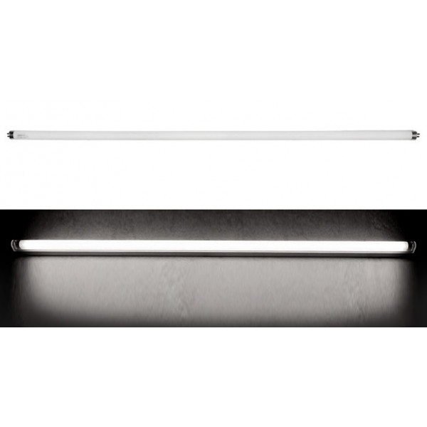 Fluorescent Lamp T5 39W Daylight (840) L:849mm