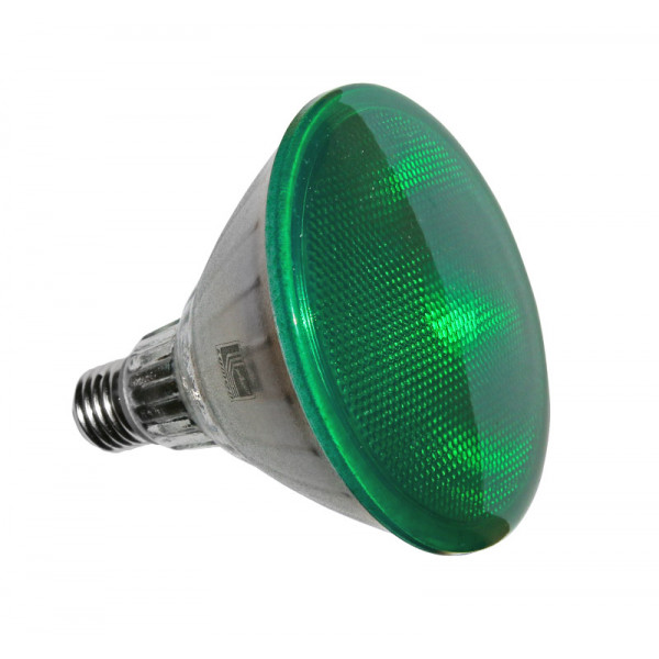 Led SMD PAR38 Glass E27 230V 15W 100° Green IP65