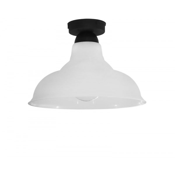 Public 1L Ce BL-WH Ceiling Plastic