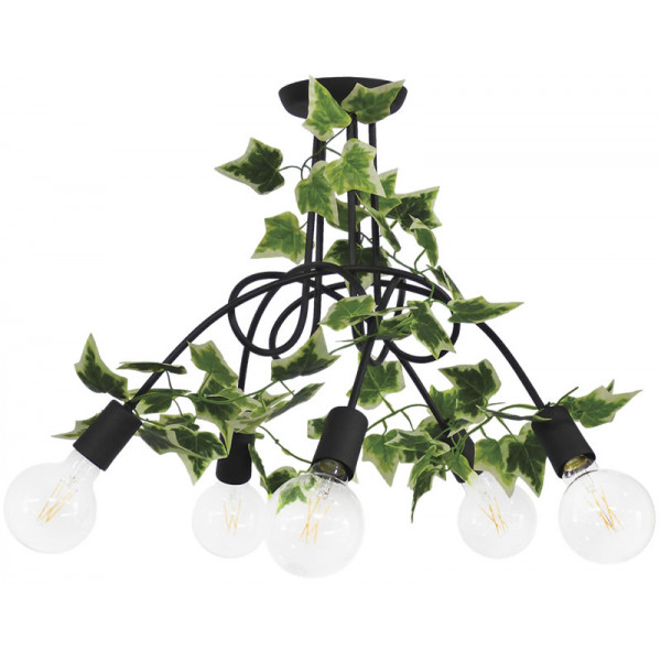Ceiling Lamp Plex 5L Edem -B-