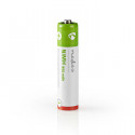 Ni-MH 1.2 V 950 mAh rechargeable AAA batteries 