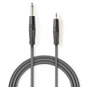 Stereo Audio Cable 6.35 mm Male - 3.5 mm Male 3.0 m Grey