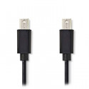 Mini DisplayPort - DisplayPort Cable Mini DisplayPort Male-DisplayPort Male 2.0m Black 